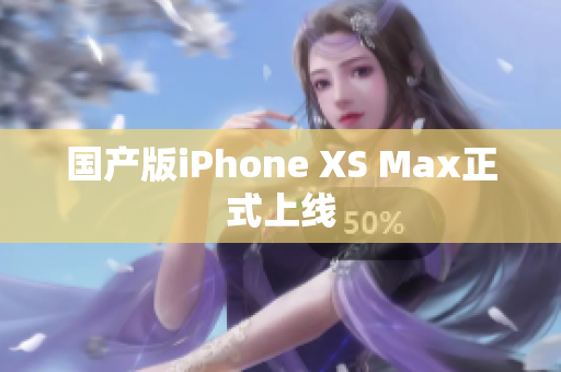 国产版iPhone XS Max正式上线