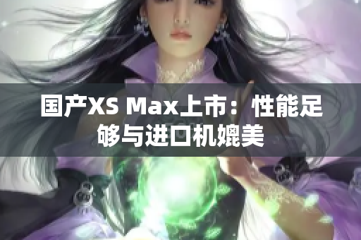 国产XS Max上市：性能足够与进口机媲美
