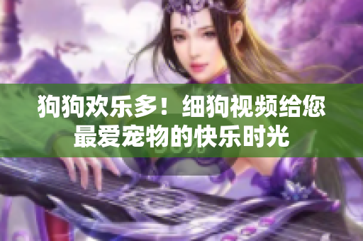 狗狗欢乐多！细狗视频给您最爱宠物的快乐时光