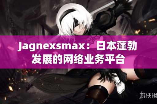 Jagnexsmax：日本蓬勃发展的网络业务平台