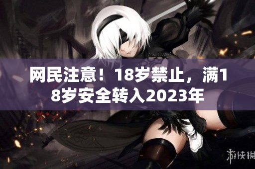 网民注意！18岁禁止，满18岁安全转入2023年