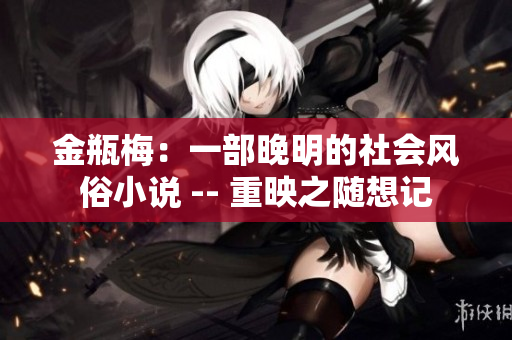 金瓶梅：一部晚明的社会风俗小说 -- 重映之随想记