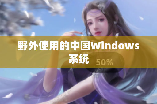 野外使用的中国Windows系统