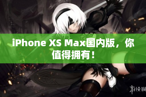 iPhone XS Max国内版，你值得拥有！