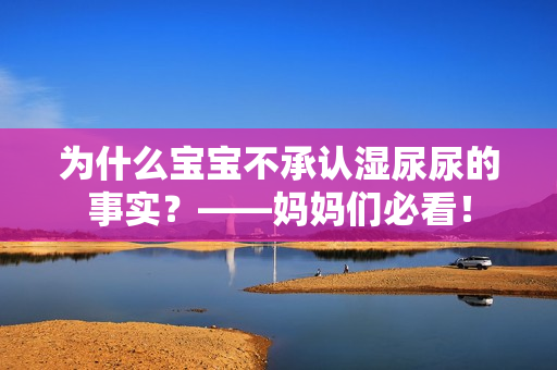 为什么宝宝不承认湿尿尿的事实？——妈妈们必看！