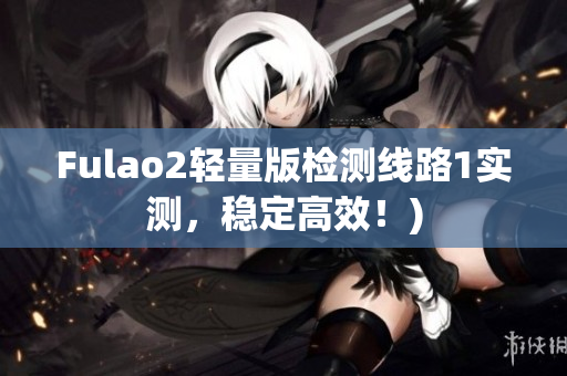 Fulao2轻量版检测线路1实测，稳定高效！)