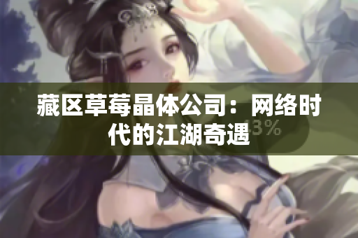 藏区草莓晶体公司：网络时代的江湖奇遇
