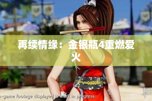 再续情缘：金银瓶4重燃爱火