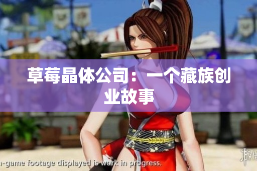 草莓晶体公司：一个藏族创业故事