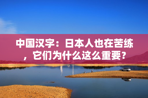 中国汉字：日本人也在苦练，它们为什么这么重要？