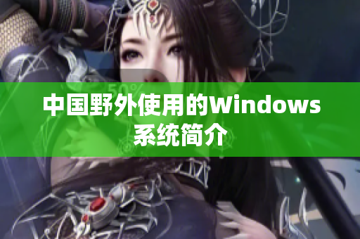 中国野外使用的Windows系统简介