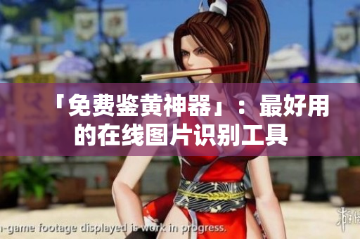 「免费鉴黄神器」：最好用的在线图片识别工具