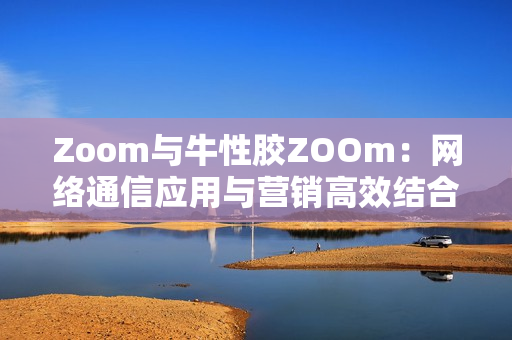 Zoom与牛性胶ZOOm：网络通信应用与营销高效结合