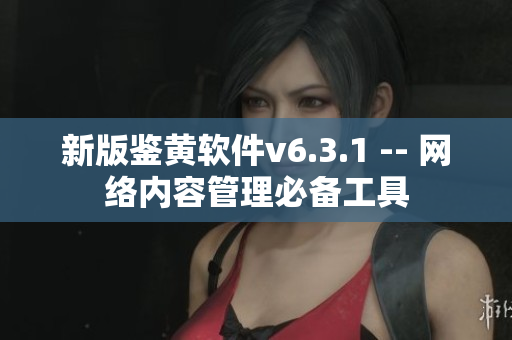 新版鉴黄软件v6.3.1 -- 网络内容管理必备工具