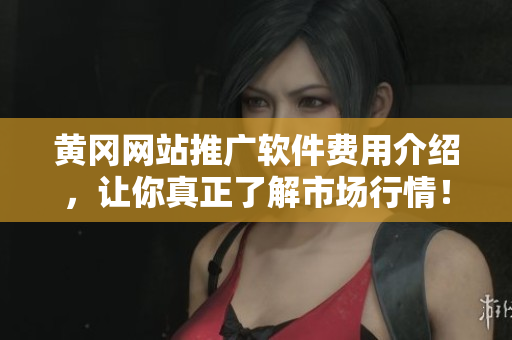 黄冈网站推广软件费用介绍，让你真正了解市场行情！
