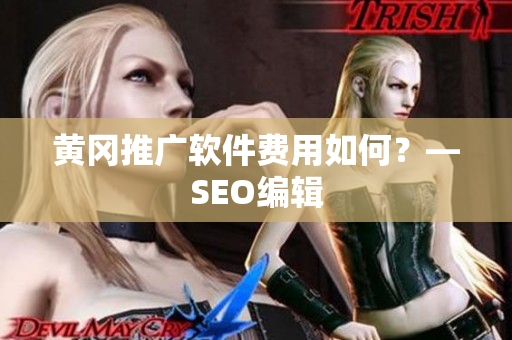 黄冈推广软件费用如何？—SEO编辑
