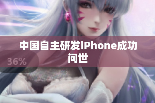 中国自主研发iPhone成功问世