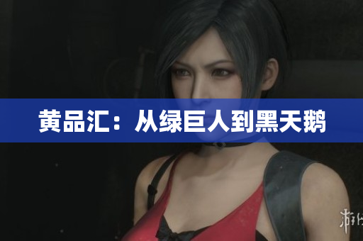 黄品汇：从绿巨人到黑天鹅