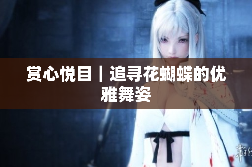 赏心悦目｜追寻花蝴蝶的优雅舞姿