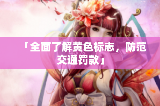 「全面了解黄色标志，防范交通罚款」