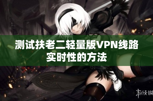 测试扶老二轻量版VPN线路实时性的方法