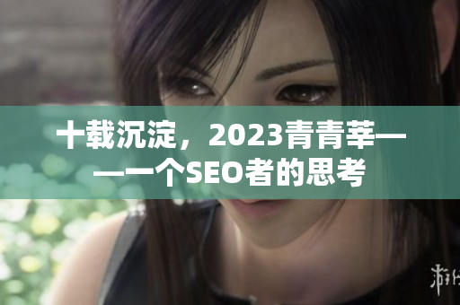 十载沉淀，2023青青莘——一个SEO者的思考