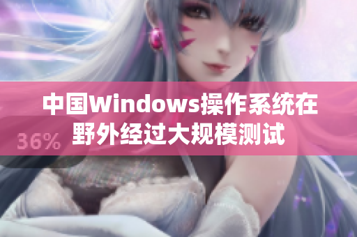 中国Windows操作系统在野外经过大规模测试