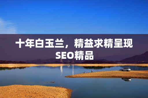 十年白玉兰，精益求精呈现SEO精品