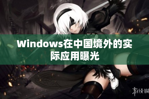 Windows在中国境外的实际应用曝光