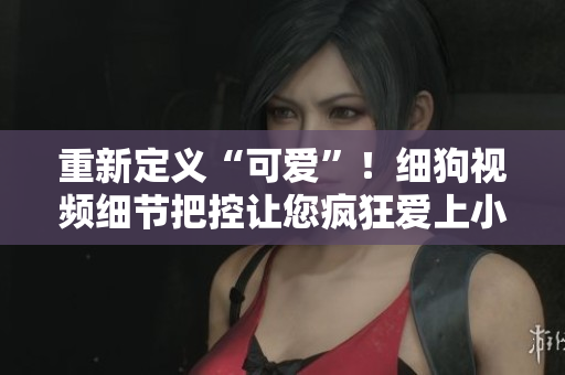 重新定义“可爱”！细狗视频细节把控让您疯狂爱上小狗狗！