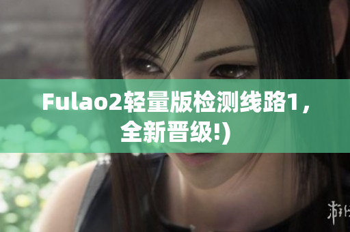Fulao2轻量版检测线路1，全新晋级!)