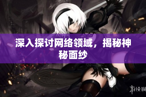 深入探讨网络领域，揭秘神秘面纱