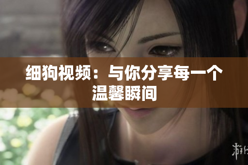 细狗视频：与你分享每一个温馨瞬间