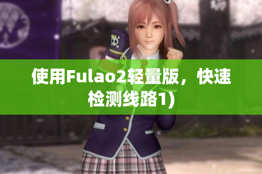 使用Fulao2轻量版，快速检测线路1)